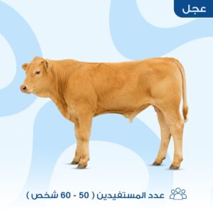 عجل