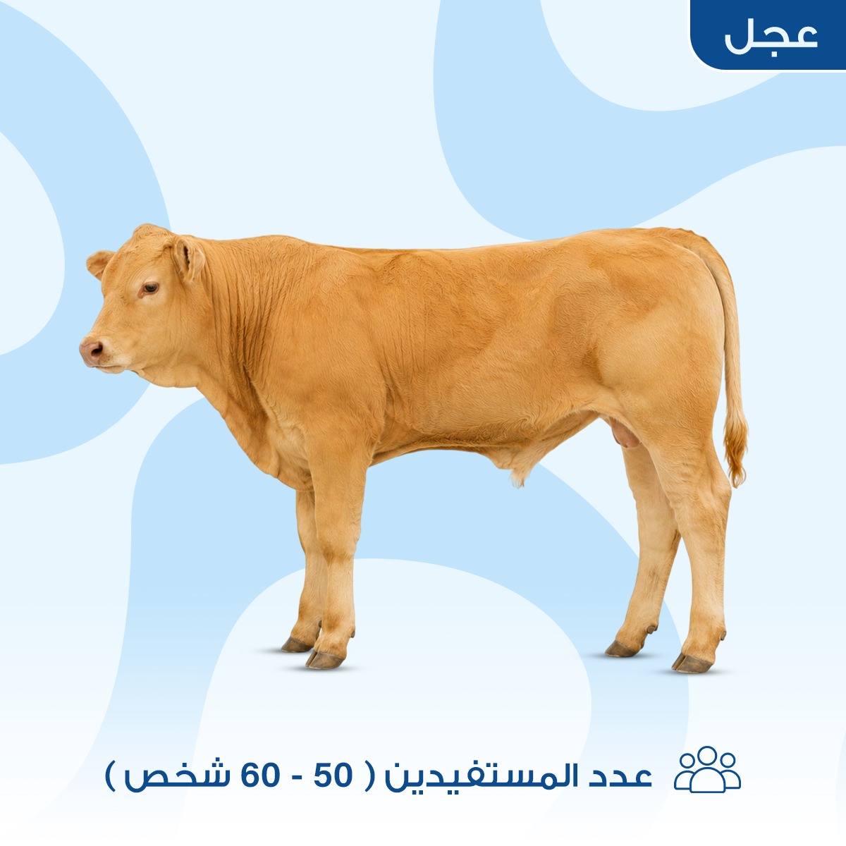 عجل